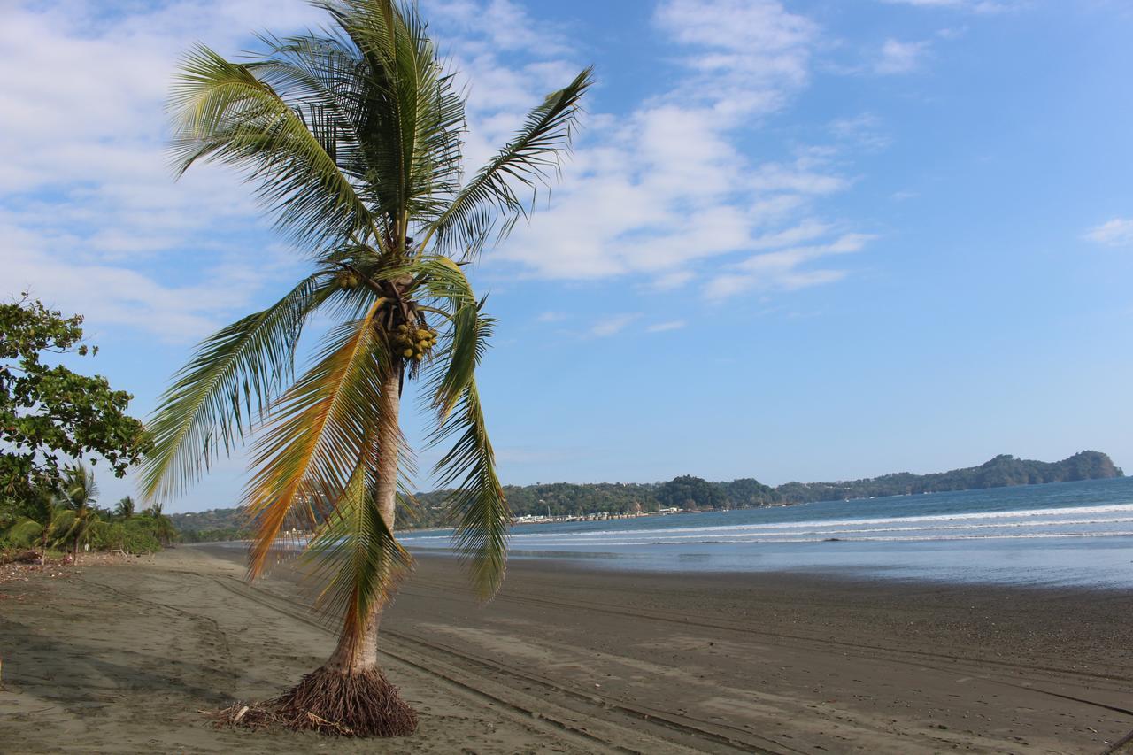 Camping Miguel Surf Camp *