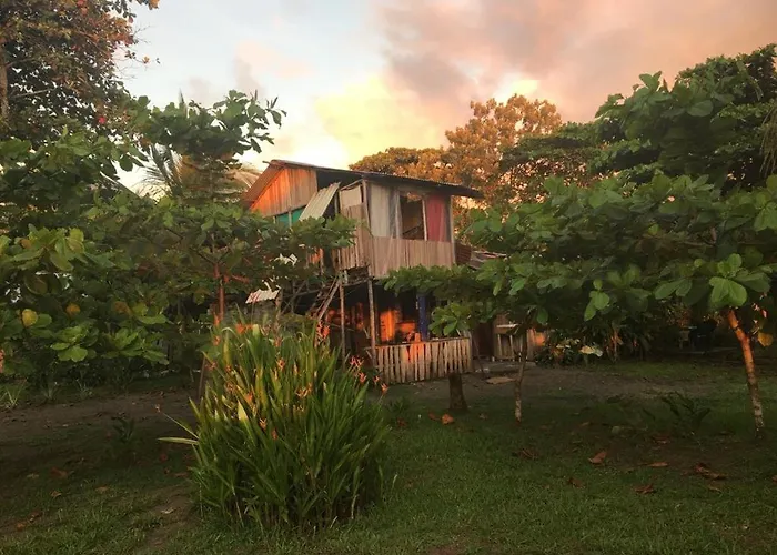 Miguel Surf Camp