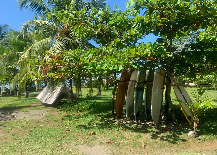 Miguel Surf Camp