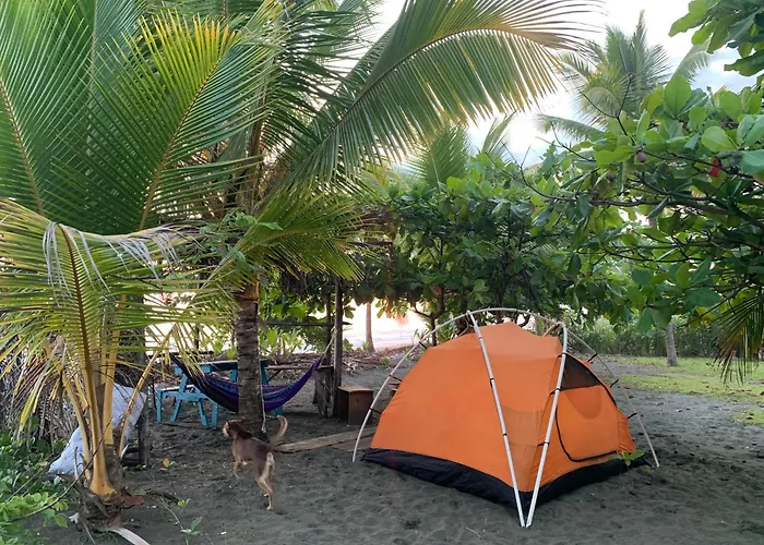 Miguel Surf Camp