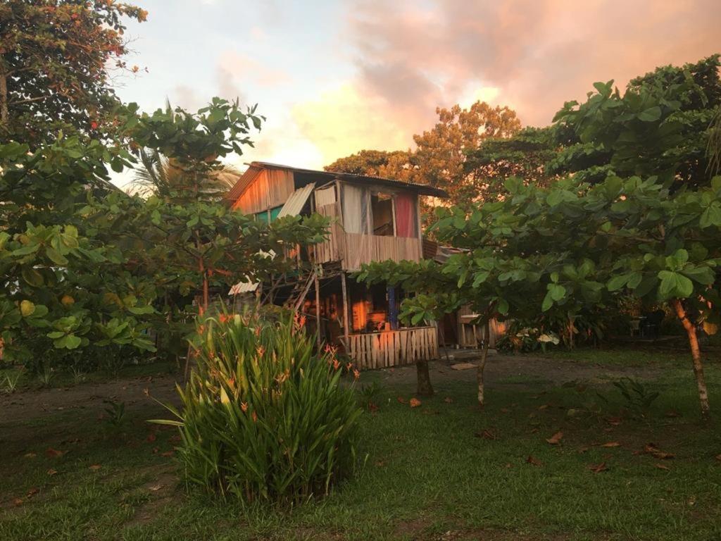 Miguel Surf Camp *