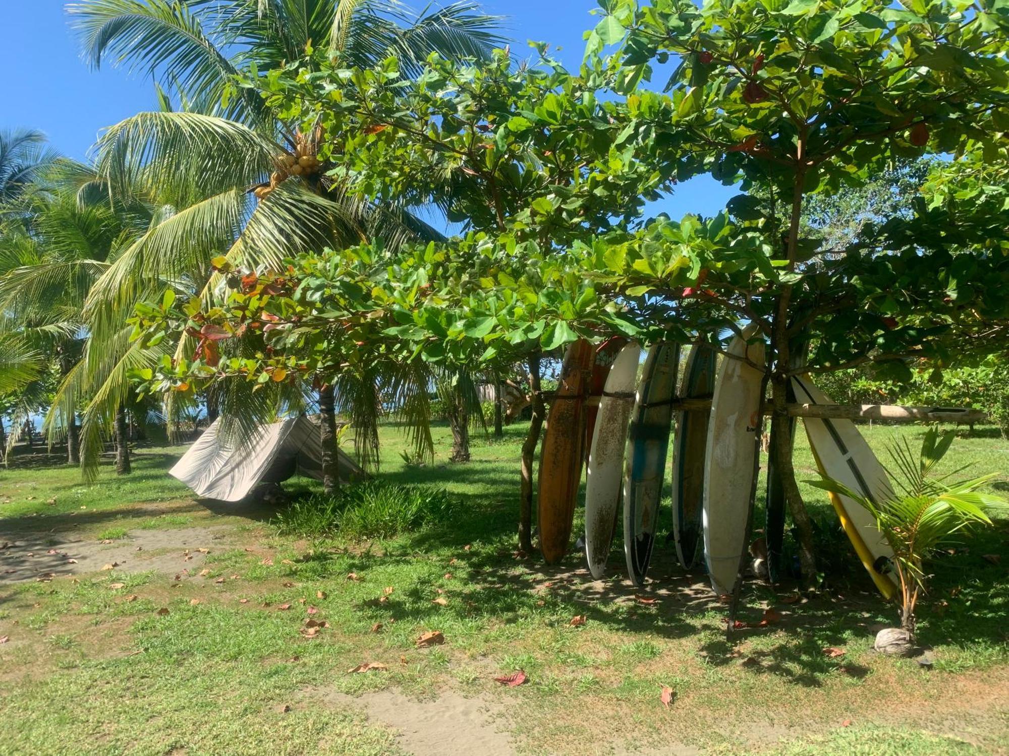 Miguel Surf Camp Quepos