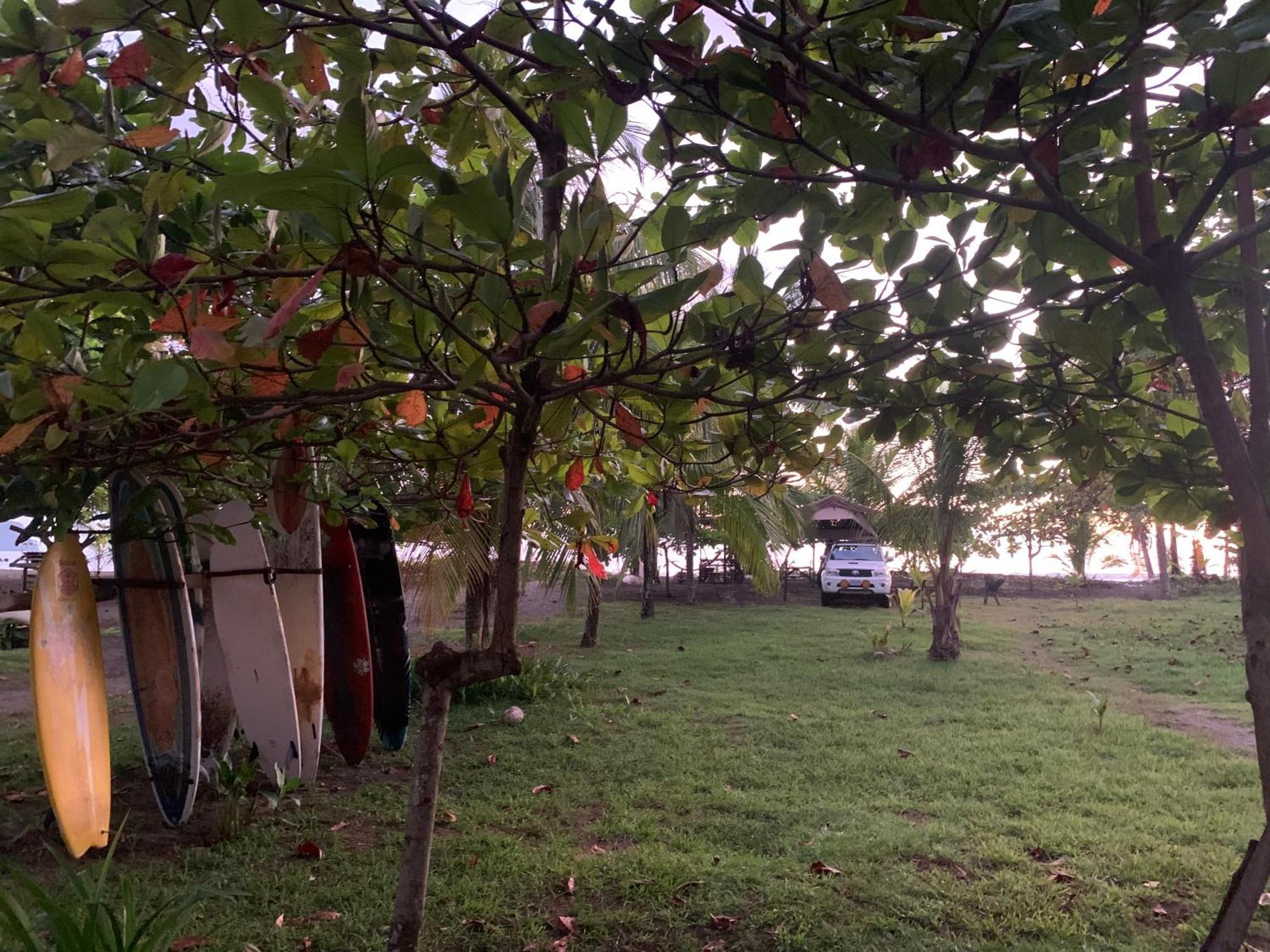 Miguel Surf Camp Campsite