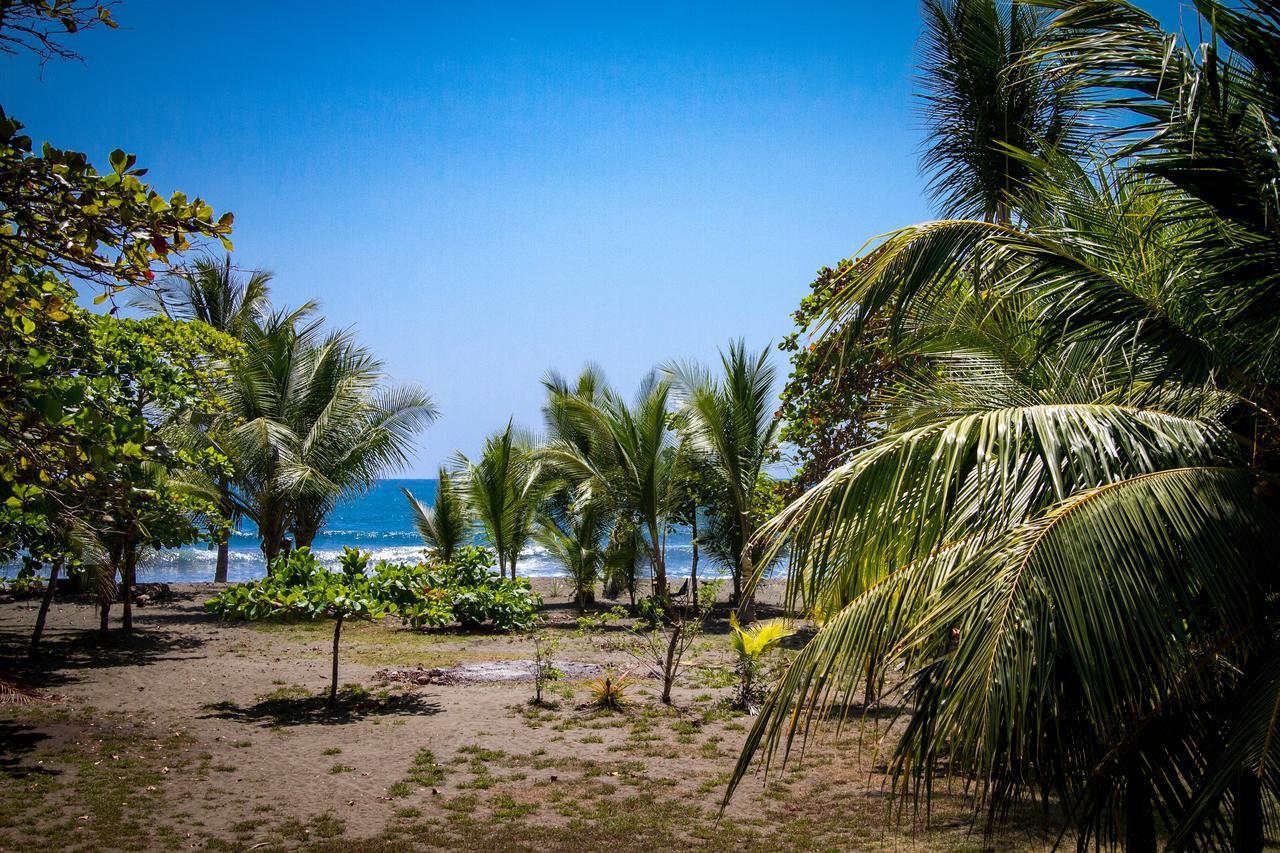 Campsite Miguel Surf Camp *