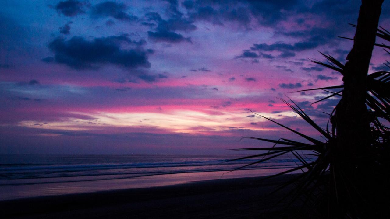 Miguel Surf Camp Campsite