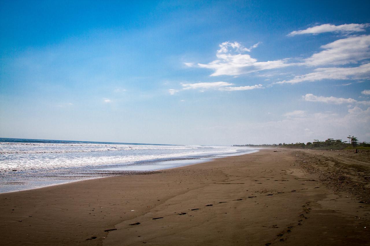 Miguel Surf Camp